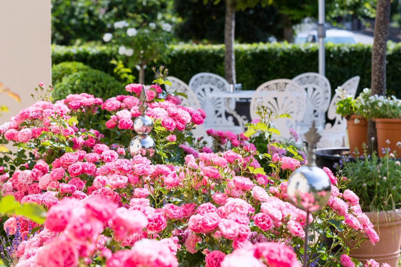 Das Kleine Hotel Iphofen, Fruehstueckszauber, No Waste, Nachhaltig, Nahe Aller Weingueter, Knauf Gips Kg Und Connekt, Kleines Secret Mit Garten & Terrassen, Tv Mirrorring, 55" Tv, Fine Dining, Hunde Willkommen Εξωτερικό φωτογραφία