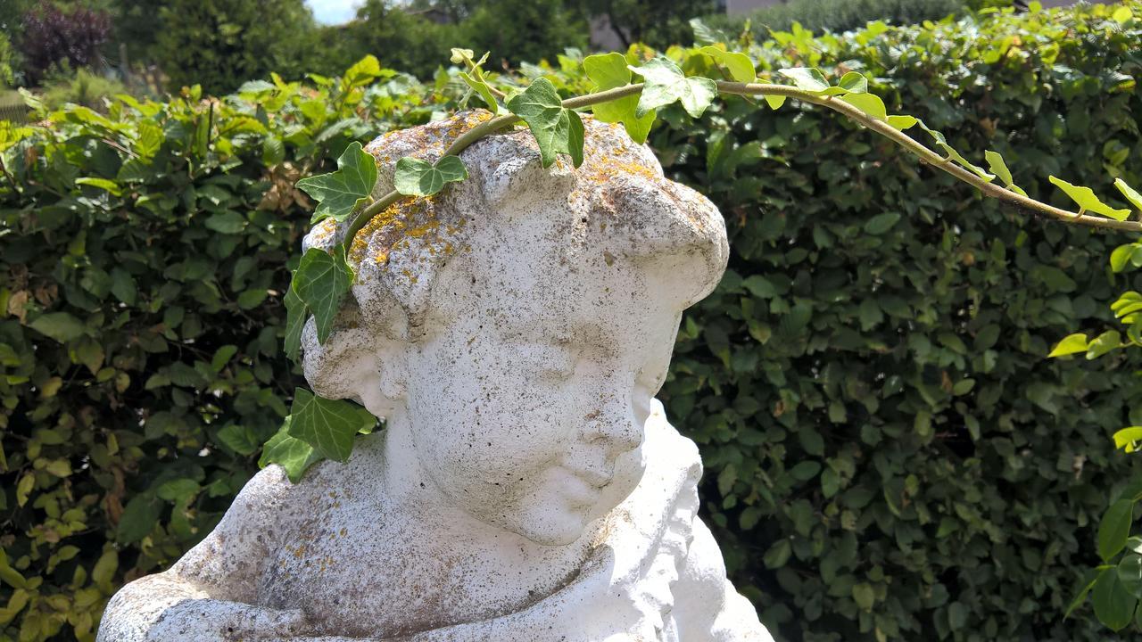 Das Kleine Hotel Iphofen, Fruehstueckszauber, No Waste, Nachhaltig, Nahe Aller Weingueter, Knauf Gips Kg Und Connekt, Kleines Secret Mit Garten & Terrassen, Tv Mirrorring, 55" Tv, Fine Dining, Hunde Willkommen Εξωτερικό φωτογραφία